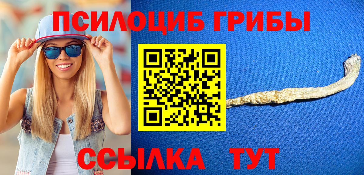 Галлюциногенные грибы Magic Shrooms Заречный