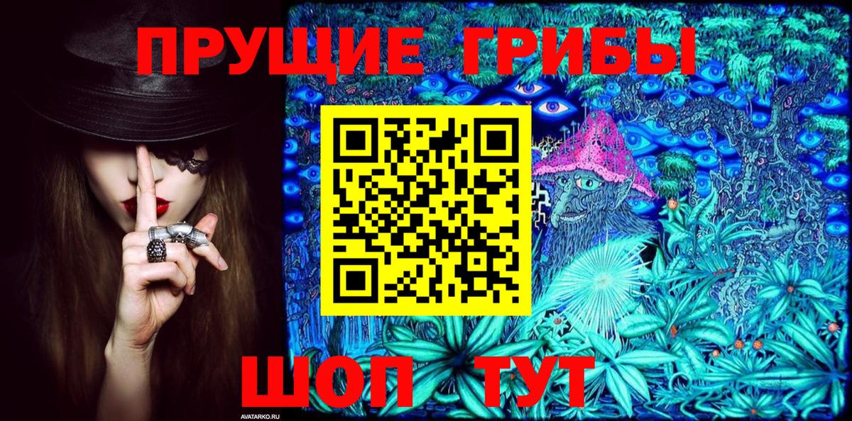 Заречный  Псилоцибиновые грибы ЛСД  Вход с VPN 